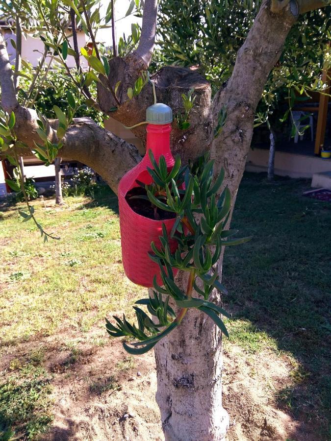 Ferienwohnung Farma Giannis Sarti Exterior foto
